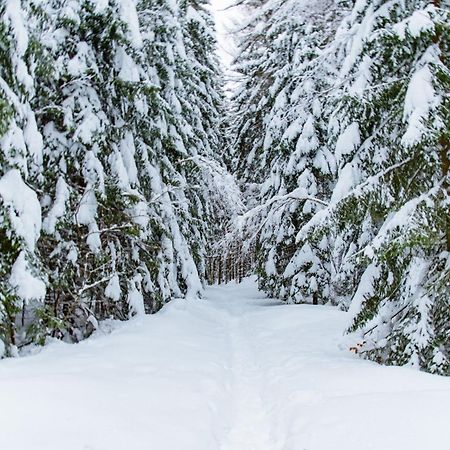 Utulny Apartman U Mumlavskych Vodopadu Harrachov Bagian luar foto