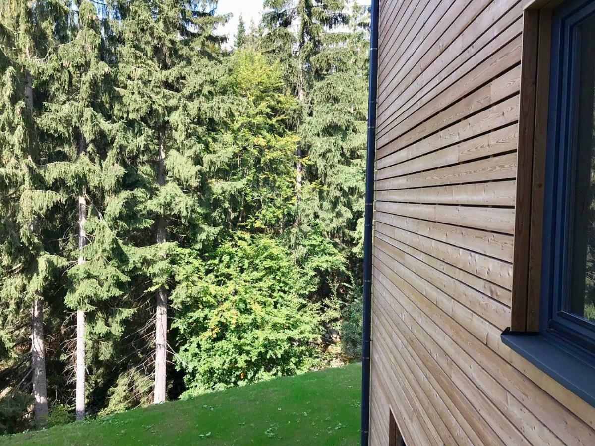 Utulny Apartman U Mumlavskych Vodopadu Harrachov Bagian luar foto